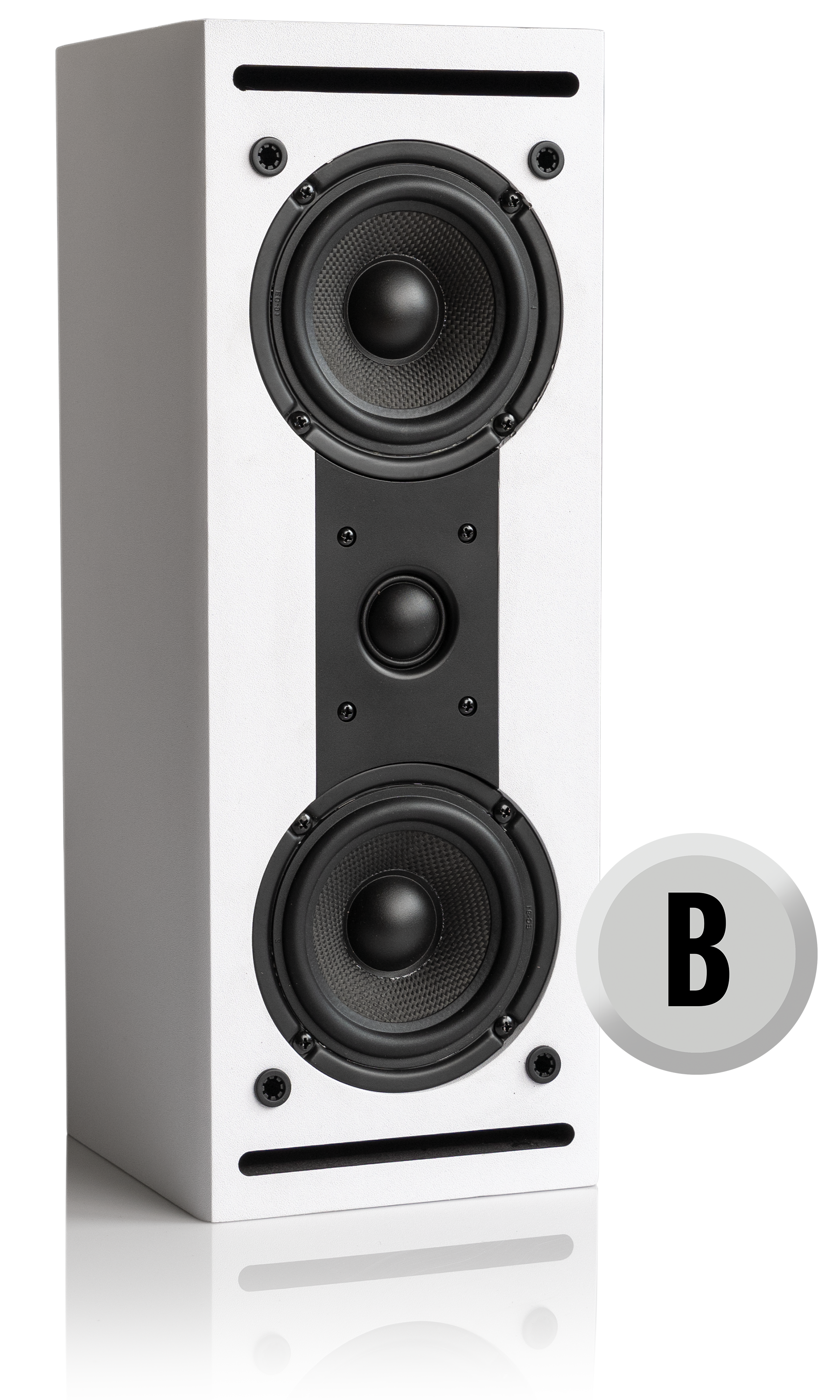 RSL 10S MKII Home Theater System