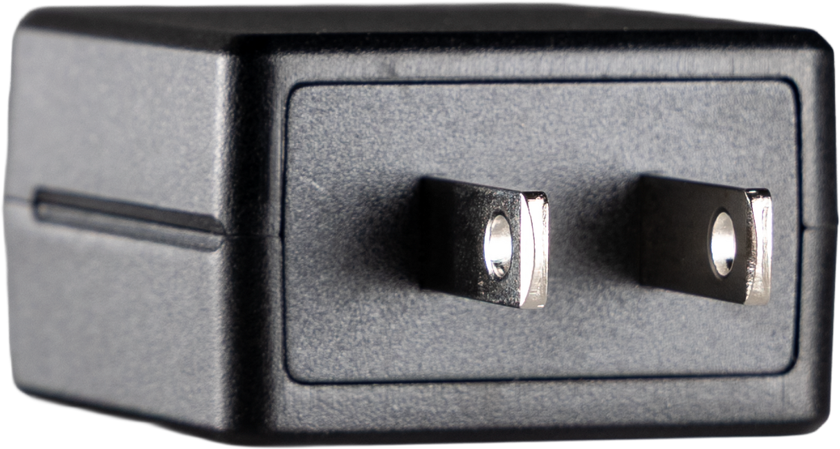 AR4 Wireless Receiver (RCA)