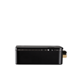 AR4 Wireless Receiver (RCA)