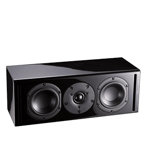 RSL CG24 Center Speaker / Monitor
